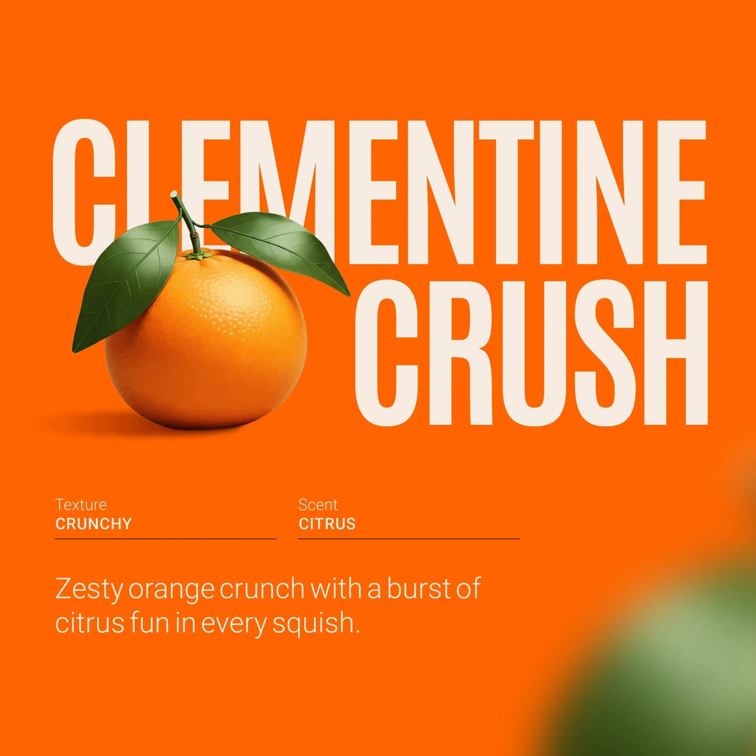 Clementine with 'Clementine Crush' text on an orange background